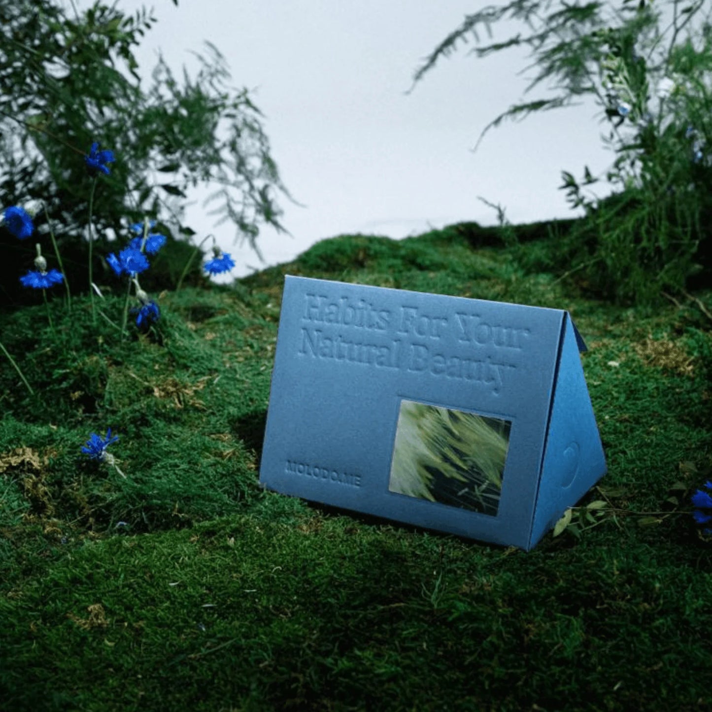 Шовковий тюрбан для вологого волосся – рушник для волосся з шовку Mulberry та мікрофібри – MOLODO
