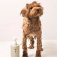 Шампунь для домашніх улюбленців | Smart Pet Shampoo 250 м Sister’s Aroma